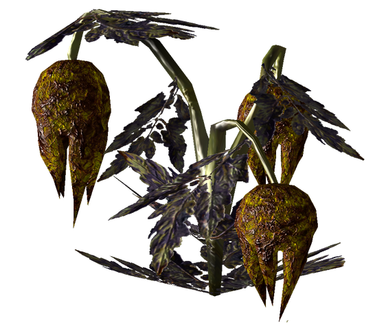 File:Wild Punga 2.png