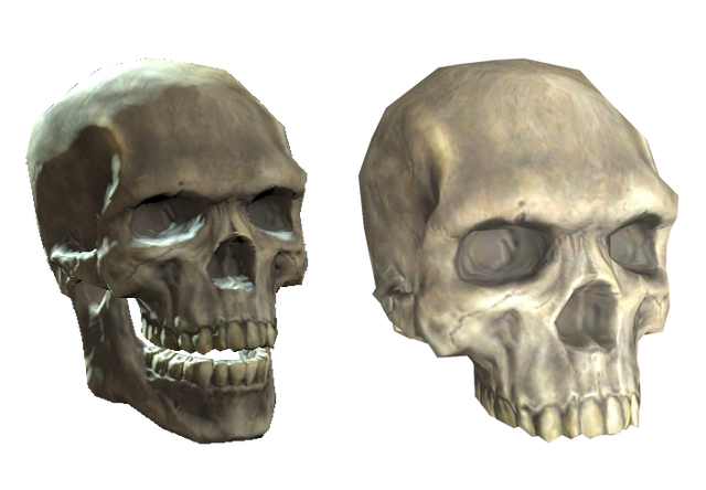 File:Plastic (upper) skull.png