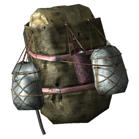 File:FNV slave backpack.png