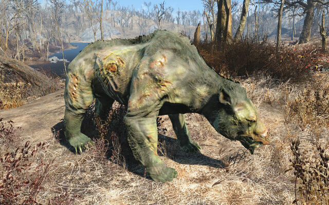 File:Fo4FH yao guai ghoul.jpg