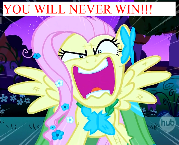 File:YOUWILLNEVERWIN.png