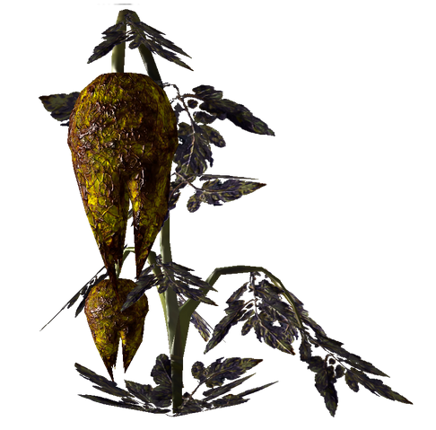 File:Wild Punga.png