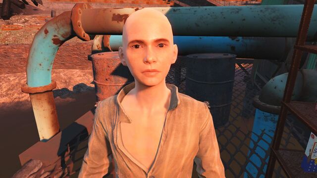 Fájl:FO4 Sheng Kawolski.jpg