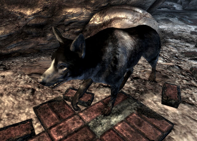 File:Muttface.jpg