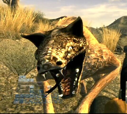 File:Rattledog.jpg