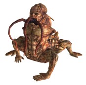 Ewocentaurkryptpl.png
