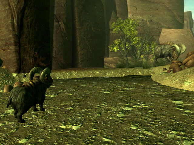 File:Mama and calf rejoined.jpg