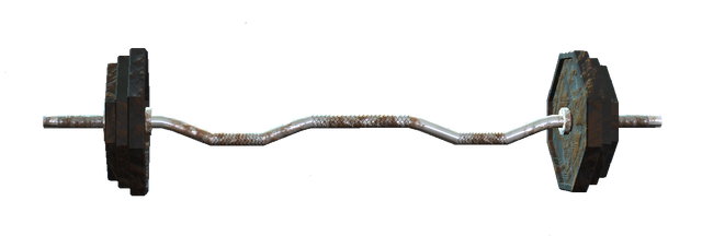 File:80lb curlbar.png