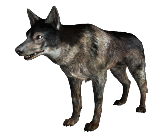 File:Dog FO3.png