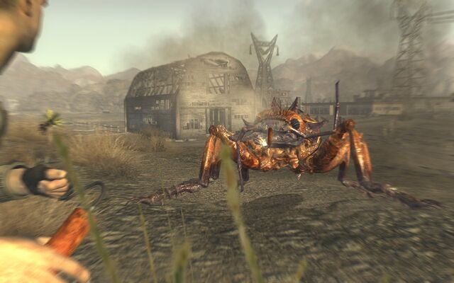 File:Giant ant fnv.jpg