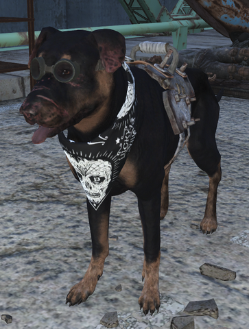 File:Kate dog.png
