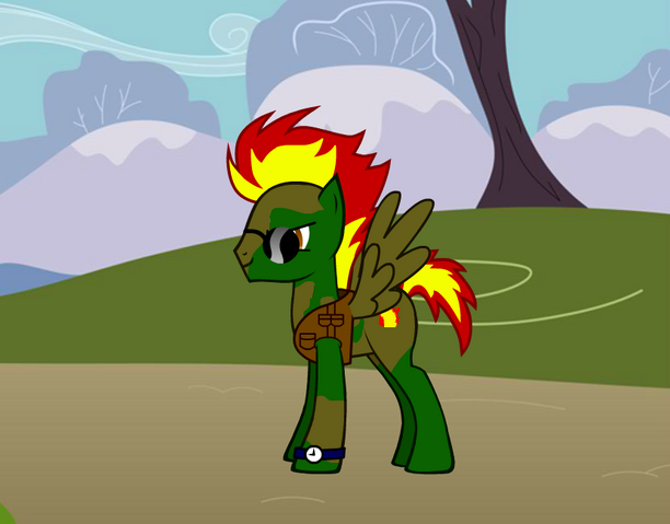 File:Camofire096 FIM.png