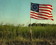 AmericanFlag