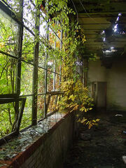 Overgrownbuilding