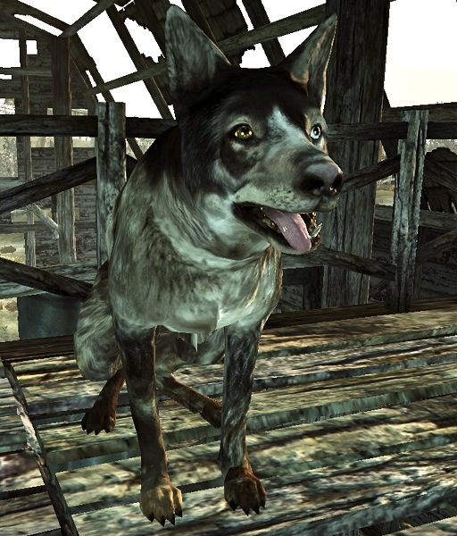 Dogmeat fallout 3 the wasteland survival guide wiki fandom