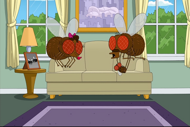 File:Fruitflies.png