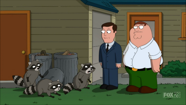 File:Racoontranslator.png