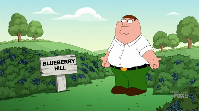 File:BlueberryHill.png
