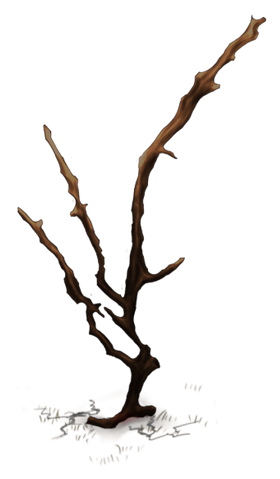 File:Crag Island Medium Tree.png