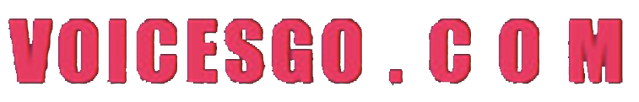 Archivo:VoicesGo render.png