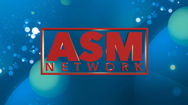 File:ASMNetwork.jpg
