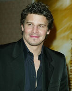 David-Boreanaz