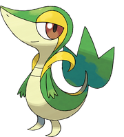 Snivy-detail