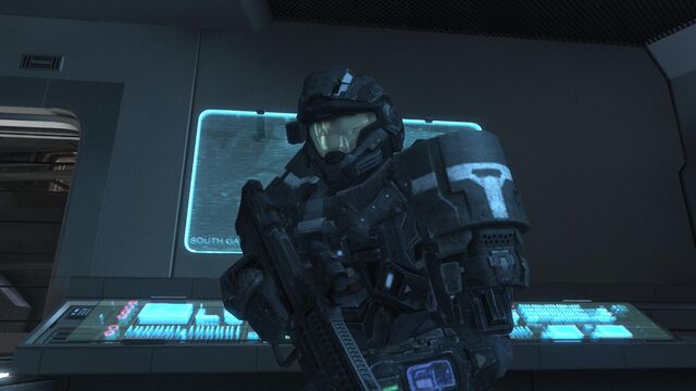 File:Rook.jpg