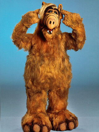 Alf-768