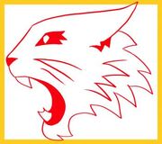 How-to-draw-high-school-musical-wildcats-logo-tutorial-drawing