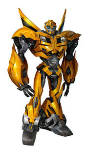 Newbumblebee