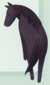 Rin Sohma horse