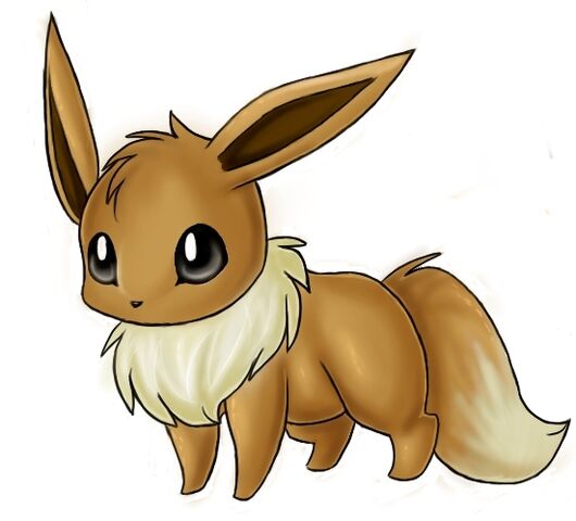 File:ADORABLE-EEVEE-eevee-3956419-551-499.jpg