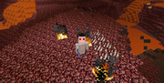 Wiz's Nether adventure
