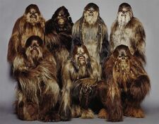 765px-WookieeWarriors