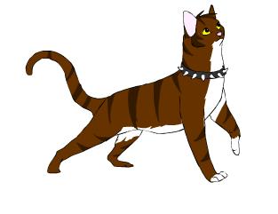 Zwierzak Jacka Tiger.jpg