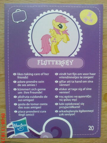 Plik:AgnessAngel - Fluttershy (karta postaci).jpg