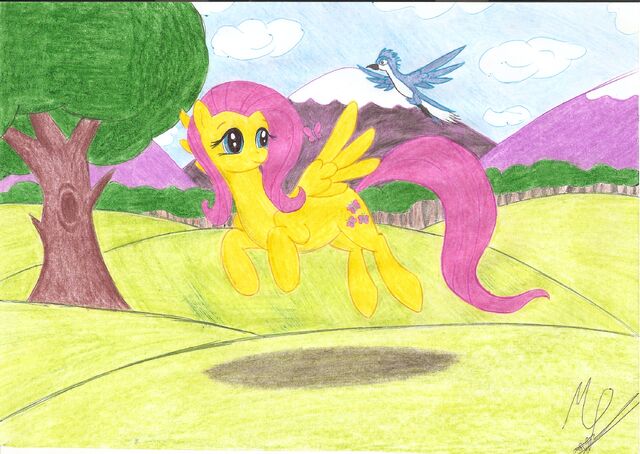 Plik:Fluttershy by Led Blackdown.jpg