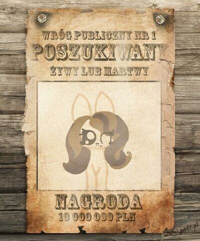 Plik:Poszukiwana Nadia.jpg