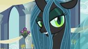 Chrysalis