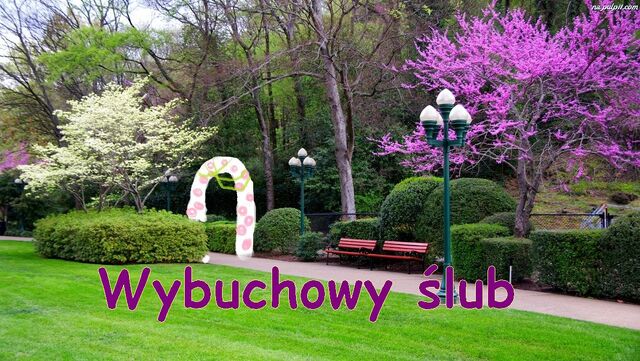 Plik:WybuchowyŚlub Tytuł.jpg