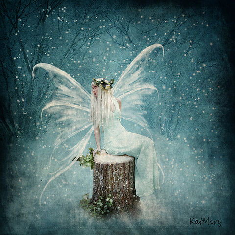 Ficheiro:Winter fairy.jpg