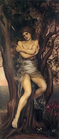 Ficheiro:Dryad11.jpg
