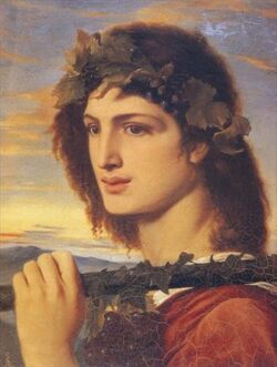 Solomon8.jpg