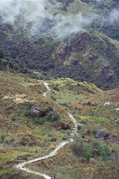 CaminhoMameria.jpg
