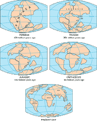 Pangea-continental-drift.gif