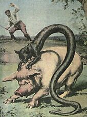 Tatzelwurm.jpg