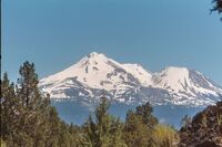 Shasta.jpg