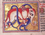 Elephantdragon.jpg