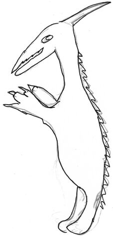 Datei:Img002.jpg